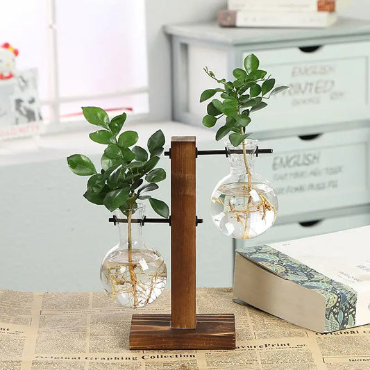 Stylish Transparent Plant Vases